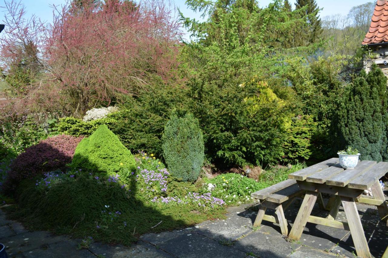 Bed and Breakfast Bohemianbreezebreaks Thornton Dale Esterno foto