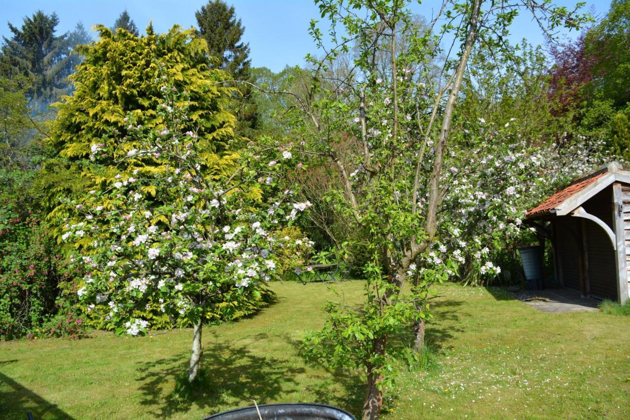Bed and Breakfast Bohemianbreezebreaks Thornton Dale Esterno foto